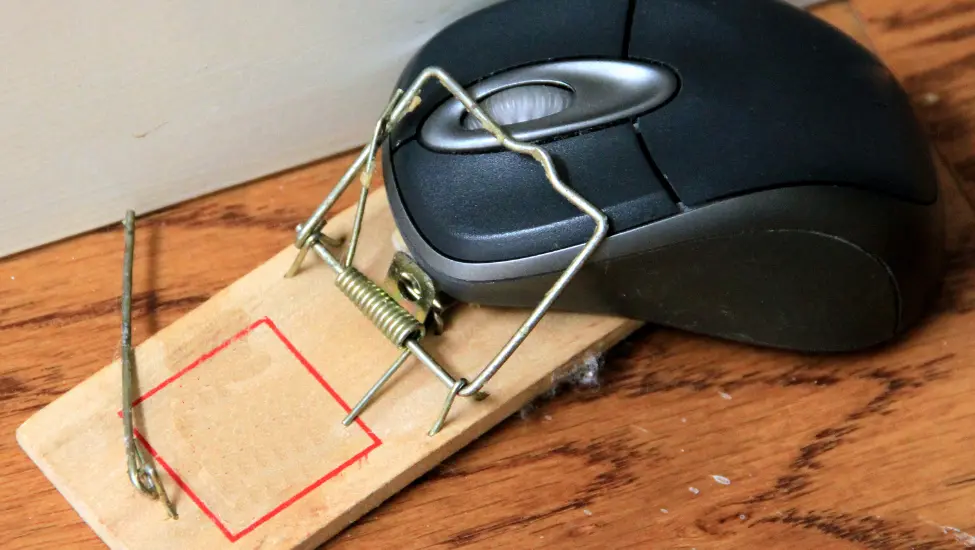 computer mouse trapped in a wooden mouse trap