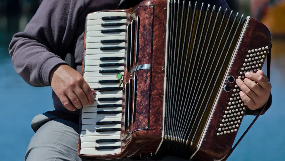 Man playing an old fashioned accordion instrument