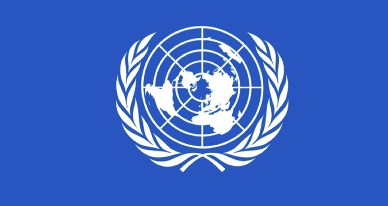 flag of the united nations