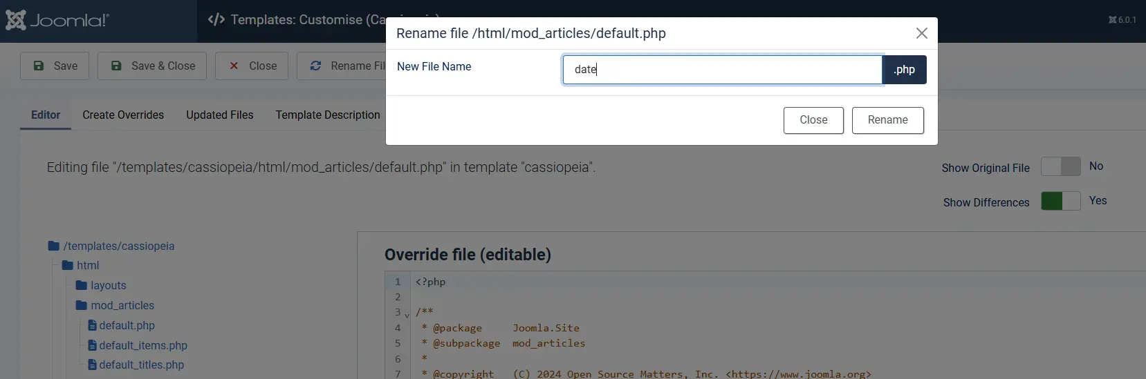 renaming a module layout in the template manager