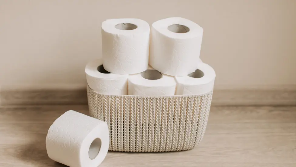 collection of toilet rolls. its a joke on bog roll which is british english for toilet roll