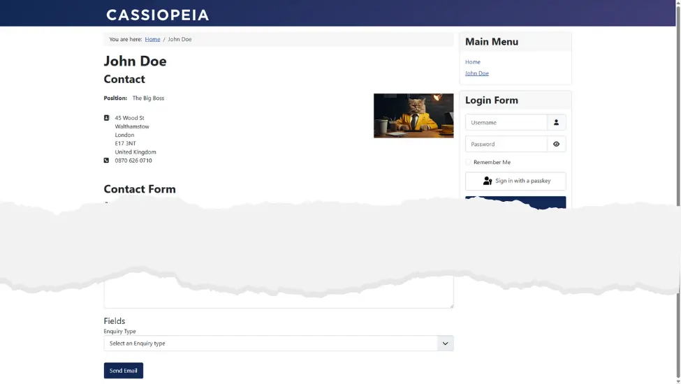 Contact form showing the new custom field