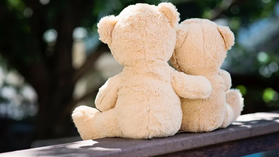 two soft and fluffy teddy bears hugging each other
