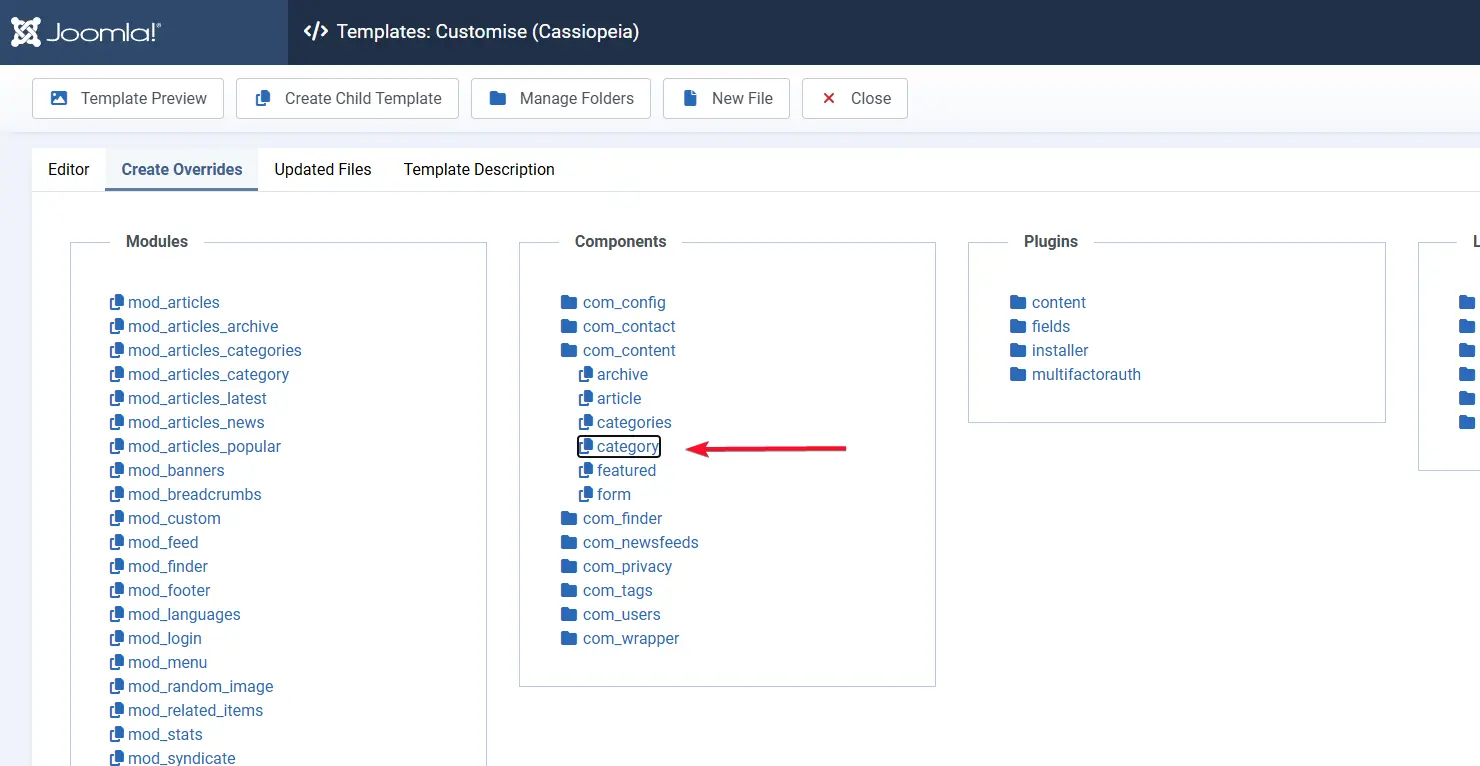 The template override screen