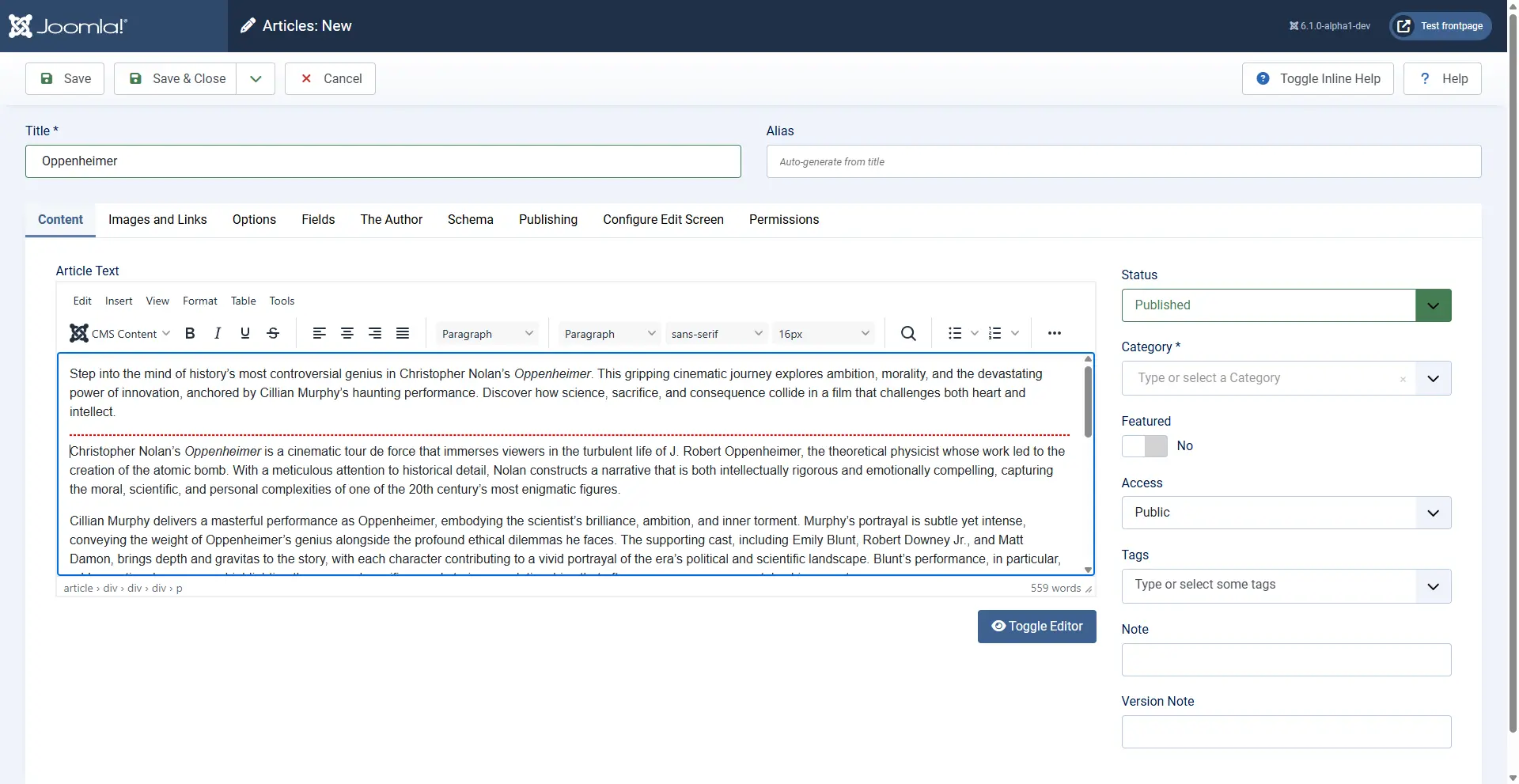 Article editor showing text above and below the Read More break